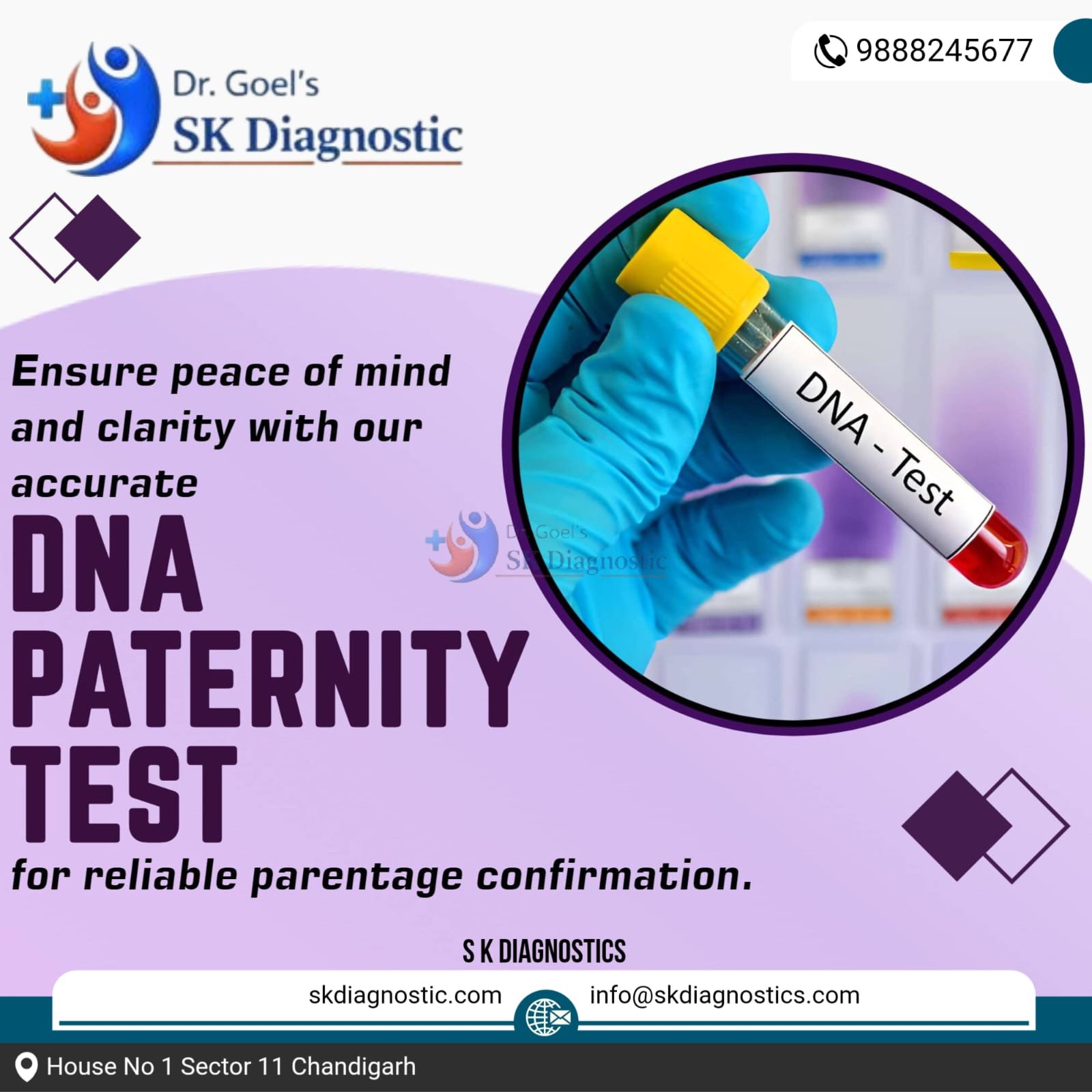 WhatsApp Image 2026-02-12 at 10.35.03