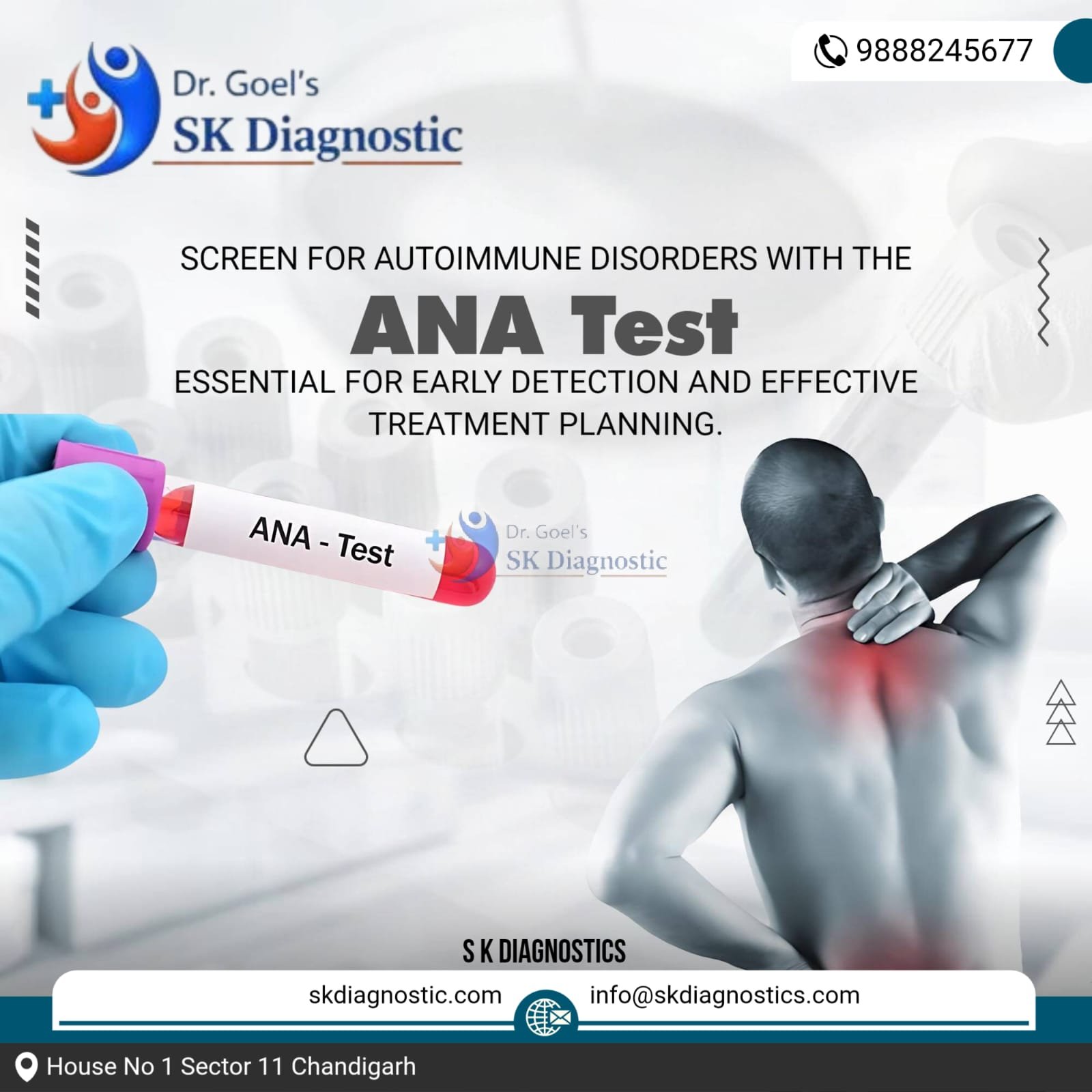 WhatsApp Image 2026-02-12 at 10.45.04