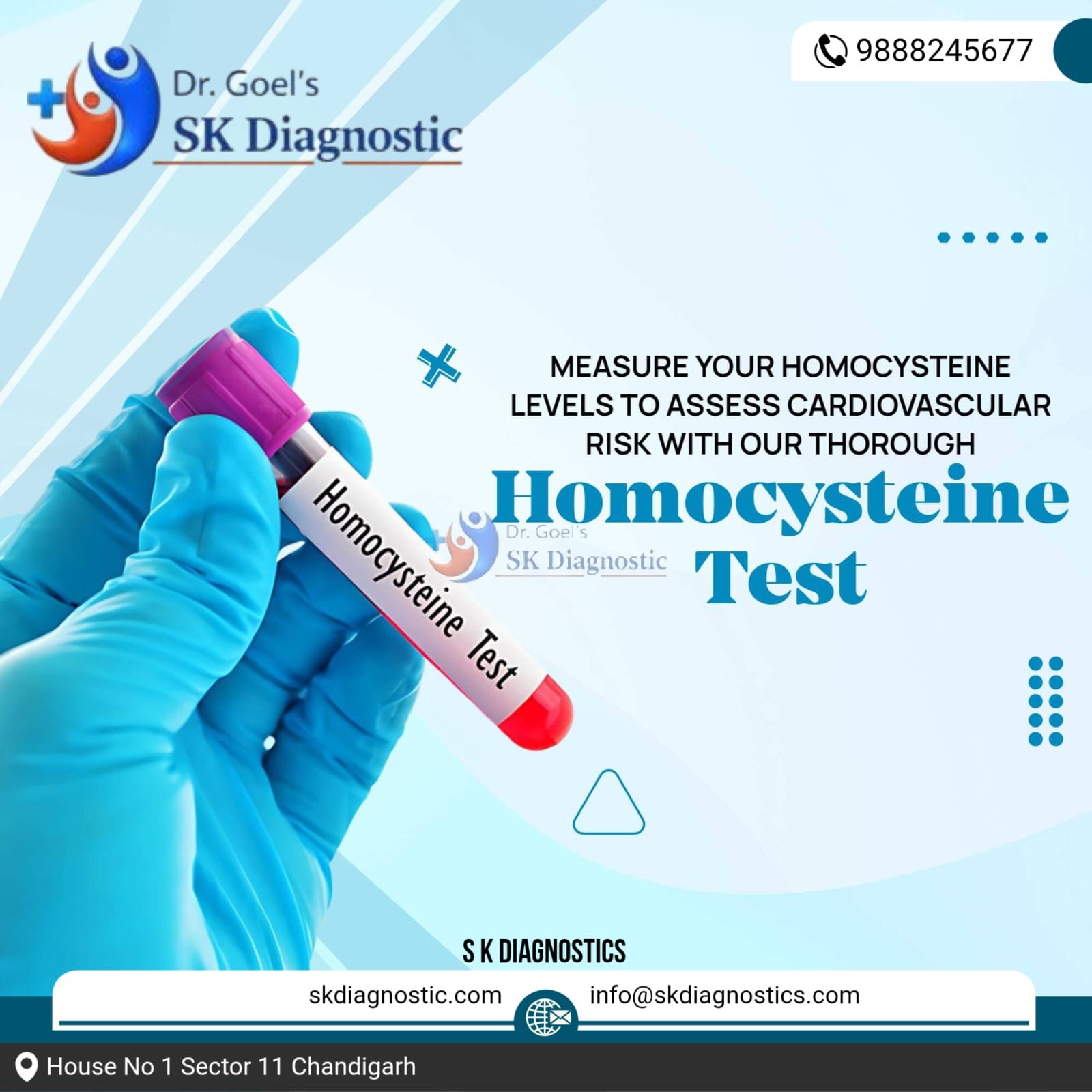 WhatsApp Image 2026-02-12 at 10.45.33